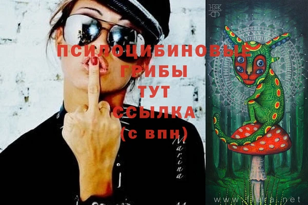 хмурый Алзамай