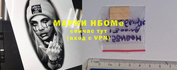 хмурый Алзамай