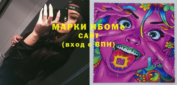 хмурый Алзамай