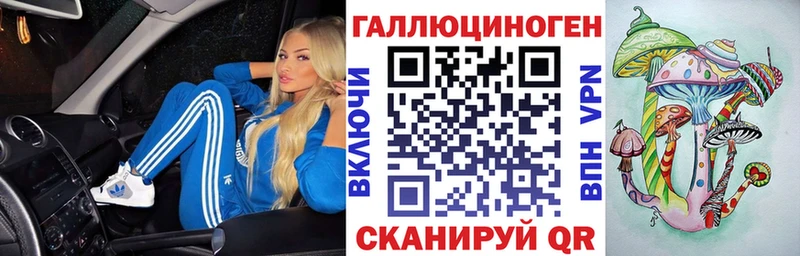 Псилоцибиновые грибы GOLDEN TEACHER  где найти наркотики  Славск 